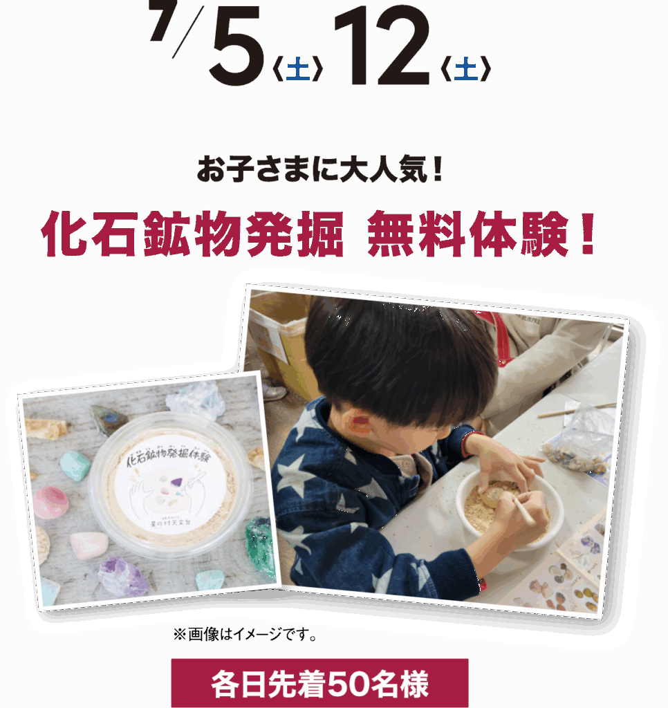 7/5(土)12(土)化石鉱物発掘 無料体験!